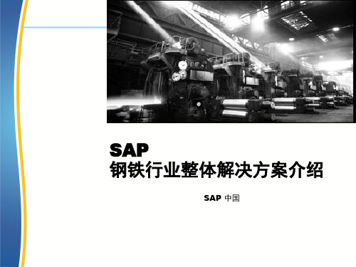 SAP钢铁行业整体解决方案ppt课件