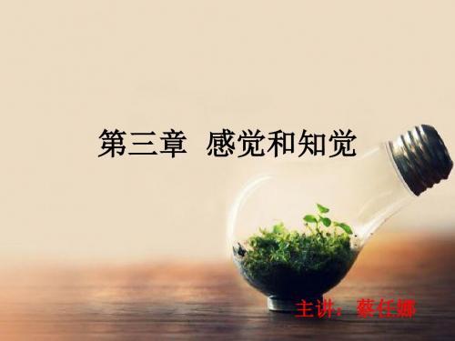 第三章 感觉