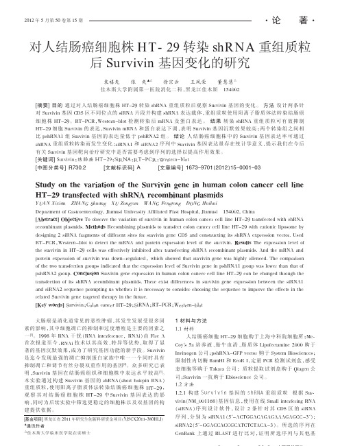 对人结肠癌细胞株HT_29转染shRNA重组质粒后Survivin基因变化的研究