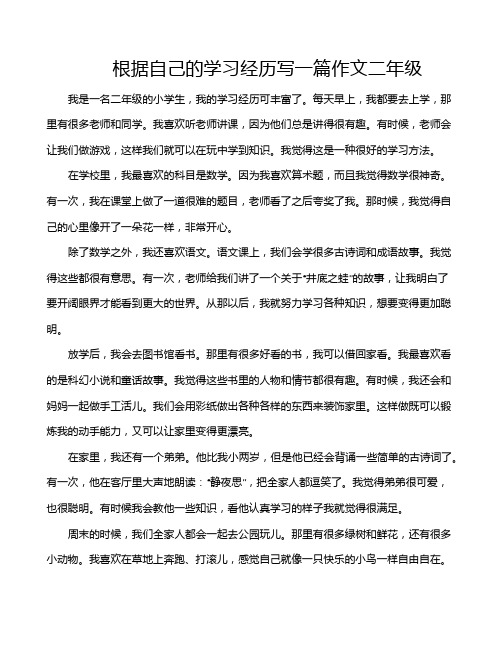 根据自己的学习经历写一篇作文二年级