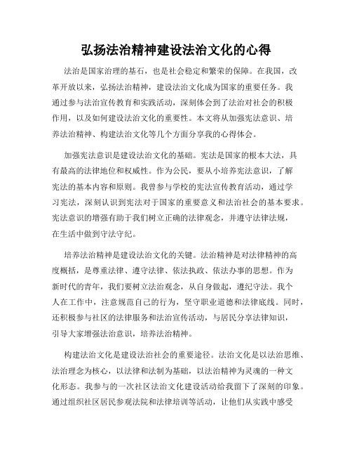 弘扬法治精神建设法治文化的心得