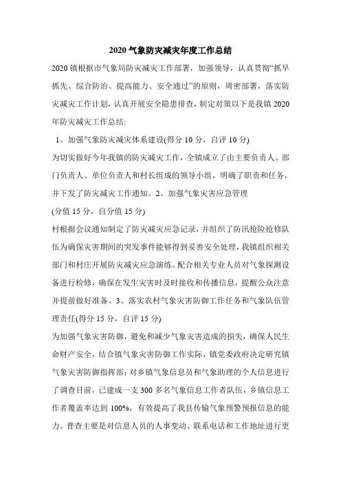 2020气象防灾减灾年度工作总结.doc