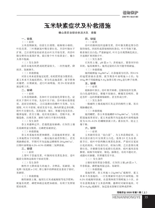 玉米缺素症状及补救措施