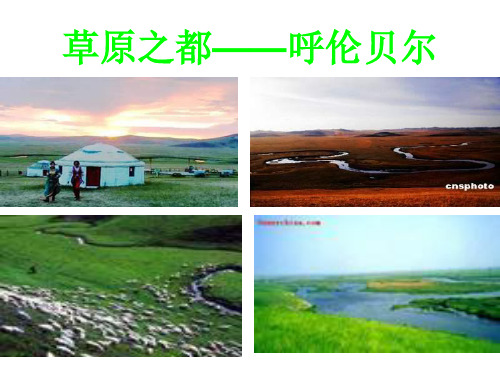 九年级语文托起草原(PPT)5-3