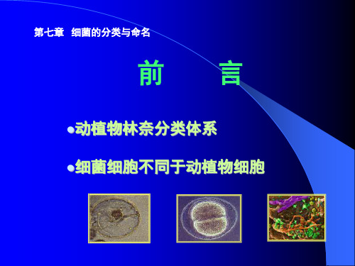 细菌的分类与命名