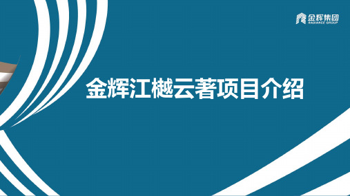 金辉江樾云著项目讲盘资料(1)