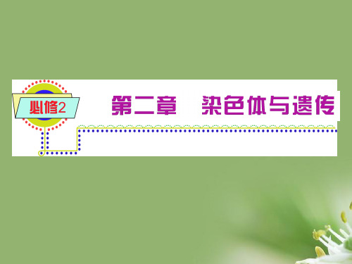 减数分裂中的染色体行为ppt6 浙科版精选教学PPT课件