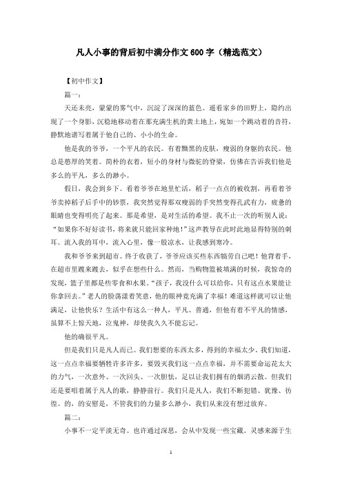 凡人小事的背后初中满分作文600字(精选范文)