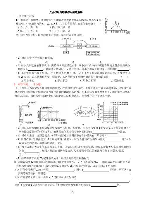 光合作用与呼吸作用题例