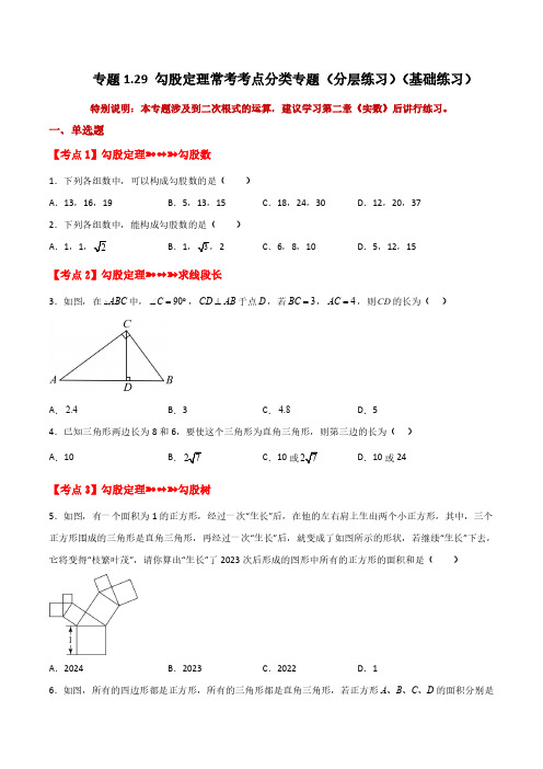 勾股定理常考考点分类(分层练习)(基础练习)-八年级数学上册基础知识专项突破讲与练(北师大版)