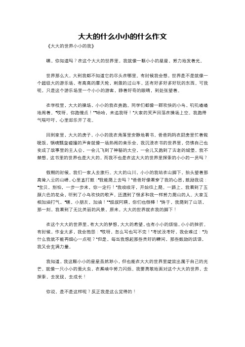 大大的什么小小的什么作文