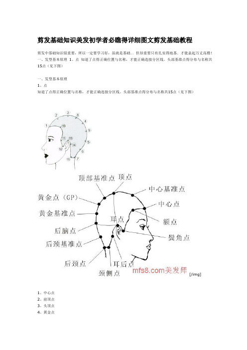 剪发基础知识