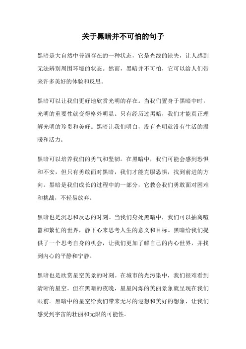 关于黑暗并不可怕的句子