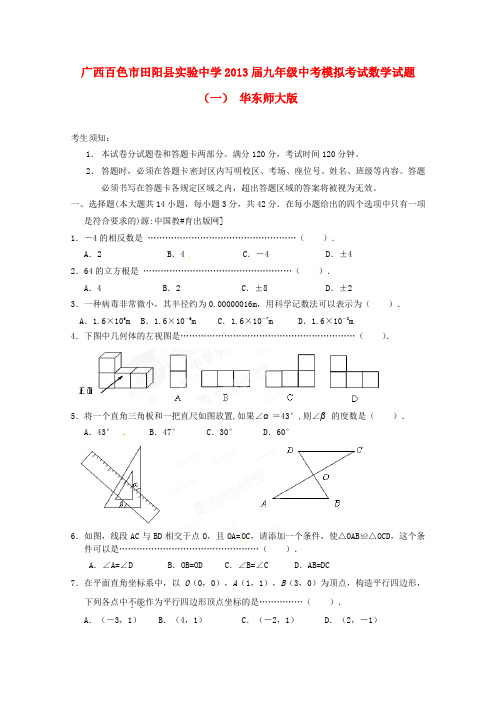 广西百色市田阳县实验中学中考数学模拟考试试题(一) 华东师大版