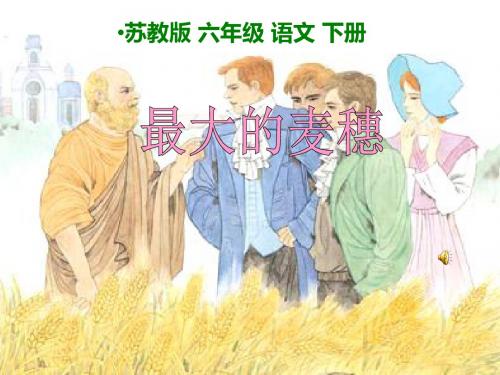 小学语文六年级下册《16.最大的麦穗》课件PPT