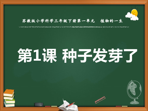 苏教版新教材三年级下册小学科学 第1课 种子萌发了 教学课件PPT