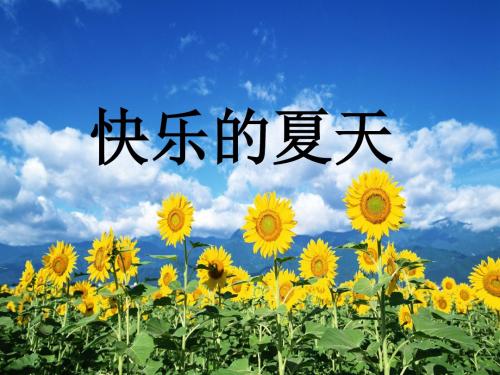 幼儿园中班语言《快乐的夏天》PPT课件