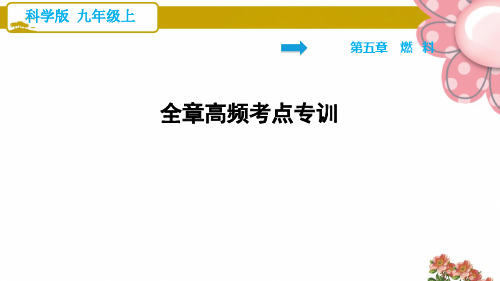 科学版九年级化学上册《燃料》全章高频考点专训ppt课件