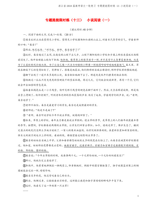 浙江省2018届高考语文一轮复习 专题提能限时练 13 小说阅读(一)