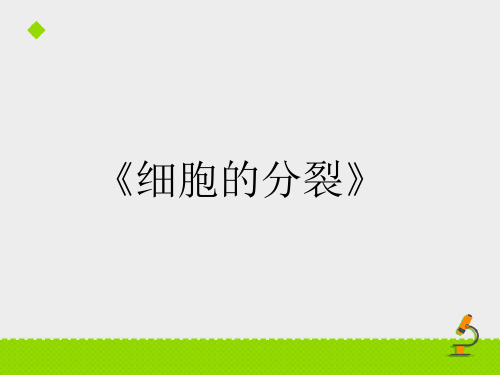 鲁科版生物六年级上册2.3.1《细胞的分裂》ppt课件