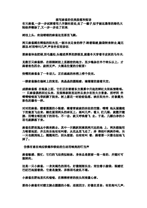 描写麻雀的优美段落和短语
