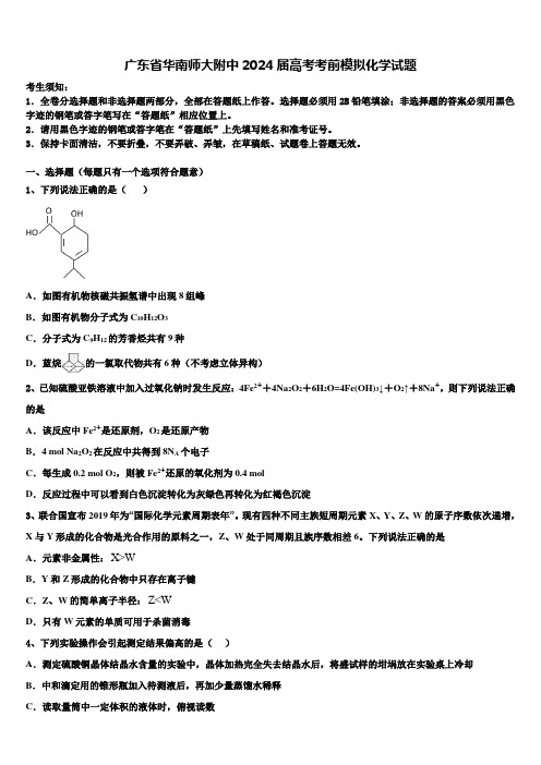 广东省华南师大附中2024届高考考前模拟化学试题含解析