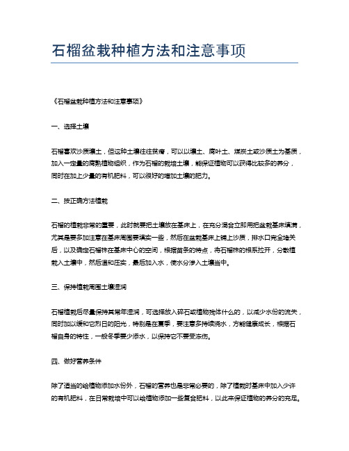 石榴盆栽种植方法和注意事项