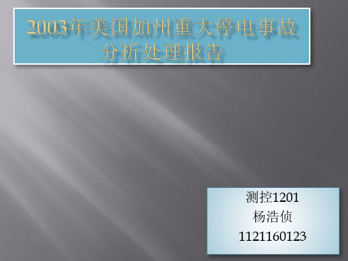 2003年美加电厂大停电事故分析