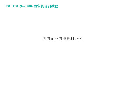 国内企业内审资料范例