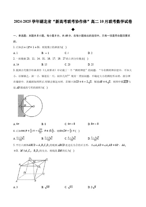 湖北省新高考联考协作体2024-2025学年高二上学期10月联考数学试卷(含答案)