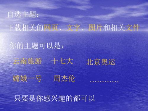 2.2.3合法下载网络中的文件