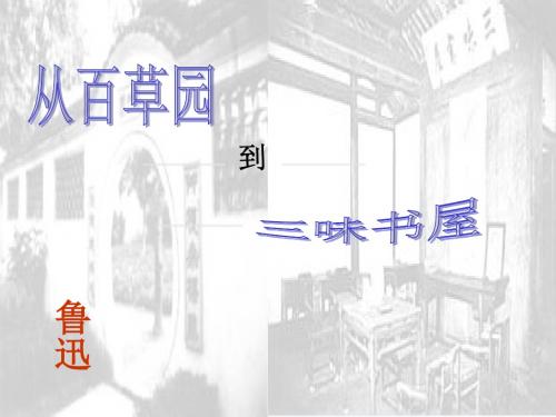 从百草园到三味书屋(浙江省温州市瑞安市)