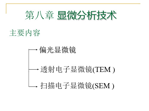 现代检测技术-8.1 显微分析技术