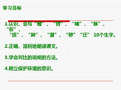 白鳍豚01.ppt