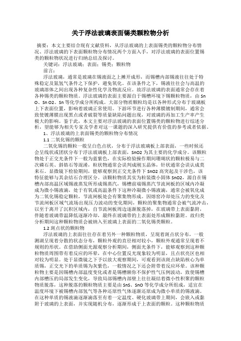 关于浮法玻璃表面锡类颗粒物分析