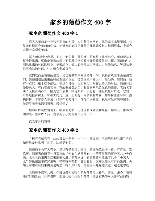 家乡的葡萄作文400字