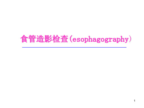 食管造影检查ppt课件
