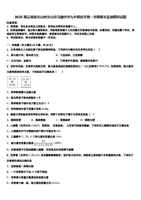 2025届云南省文山州文山市马塘中学九年级化学第一学期期末监测模拟试题含解析