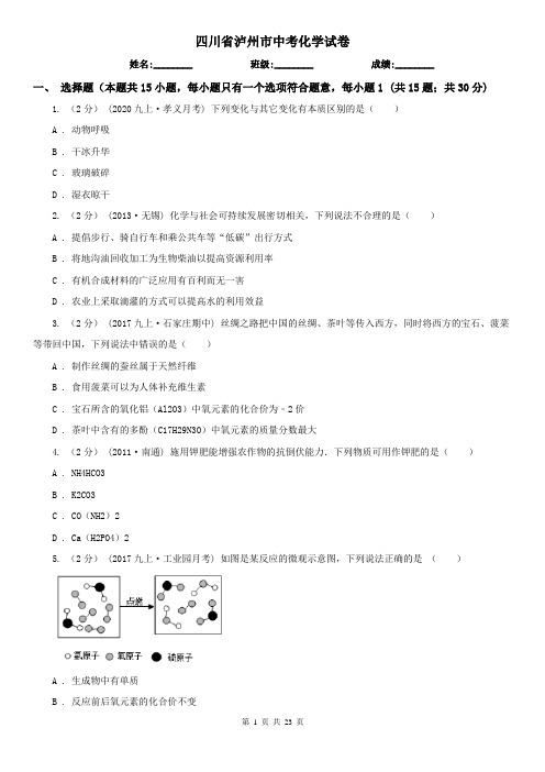 四川省泸州市中考化学试卷