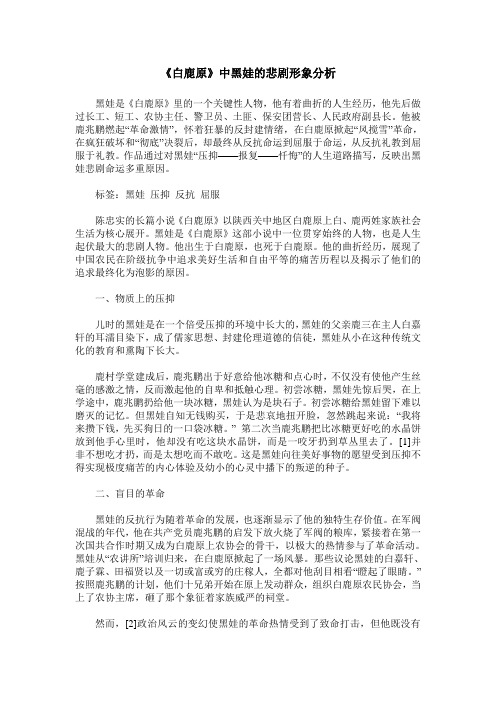 《白鹿原》中黑娃的悲剧形象分析