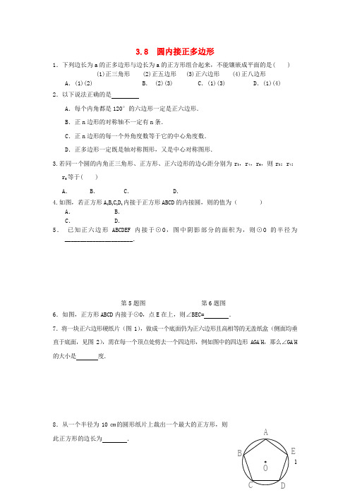 九年级数学下册第三章圆8圆内接正多边形练习北师大版