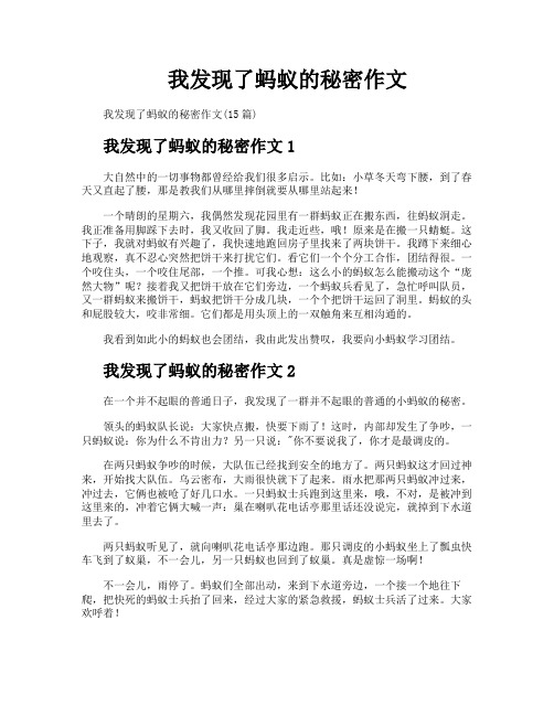 我发现了蚂蚁的秘密作文