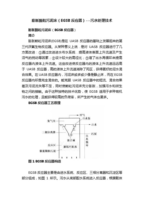 膨胀颗粒污泥床（EGSB反应器）---污水处理技术