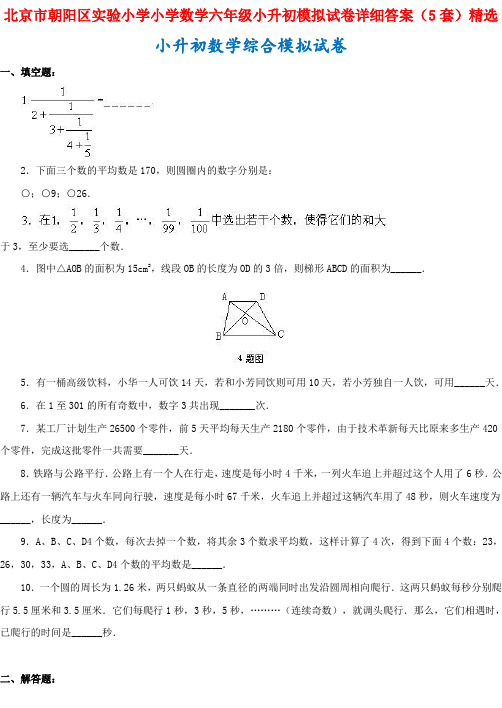 北京市朝阳区实验小学小学数学六年级小升初模拟试卷详细答案(5套)精选