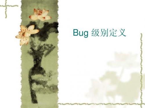 Bug 级别定义