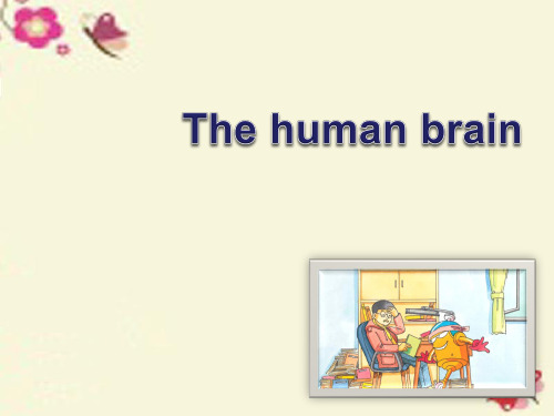 沪教版九年级(初三)英语第一学期试用本The human brain_课件1
