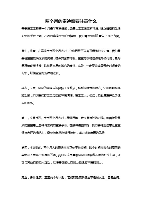 两个月的泰迪需要注意什么