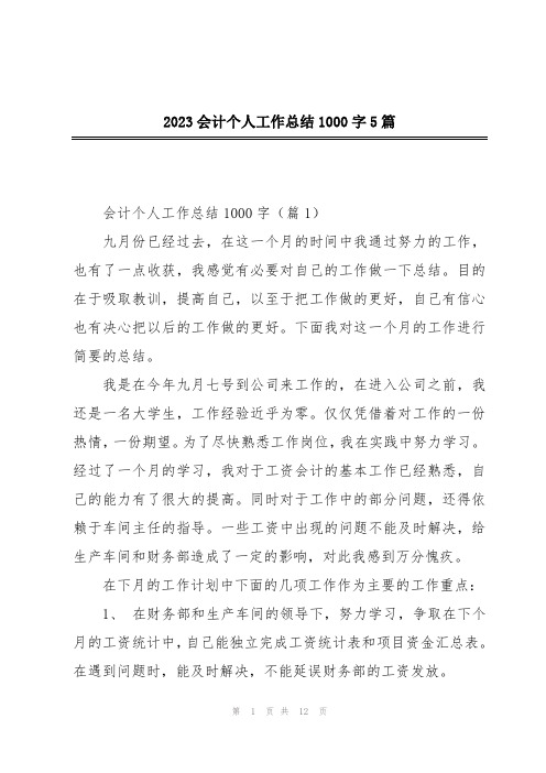 2023会计个人工作总结1000字5篇