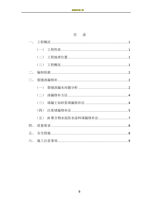 渗漏修补专项施工方案