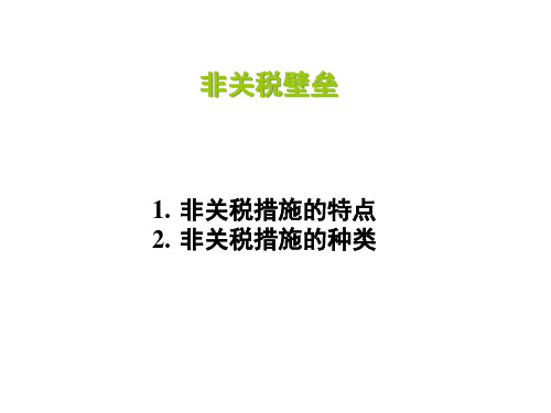 非关税壁垒概述(ppt 29页)